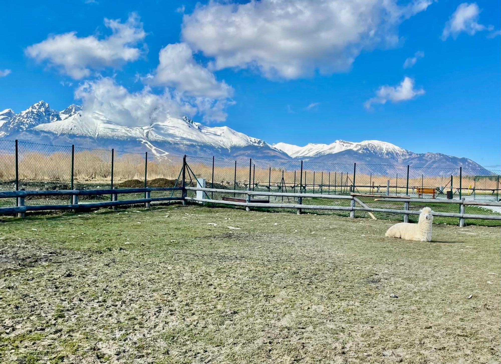Apartment Kimo - Stunning View Of High Tatras Velka Lomnica Εξωτερικό φωτογραφία